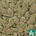 Amaretto Mintz - Image 2