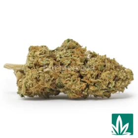 Kush Crash