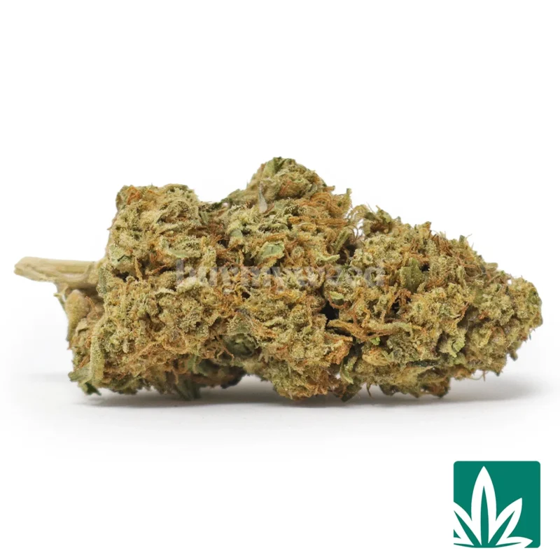 Kush Crash