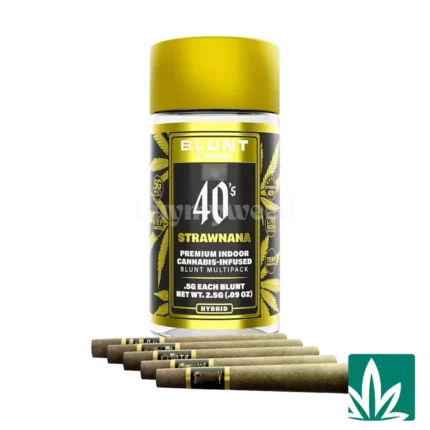STZY .5G 40’s Infused Mini Blunts 5 Pack (2.5g) – Strawnana