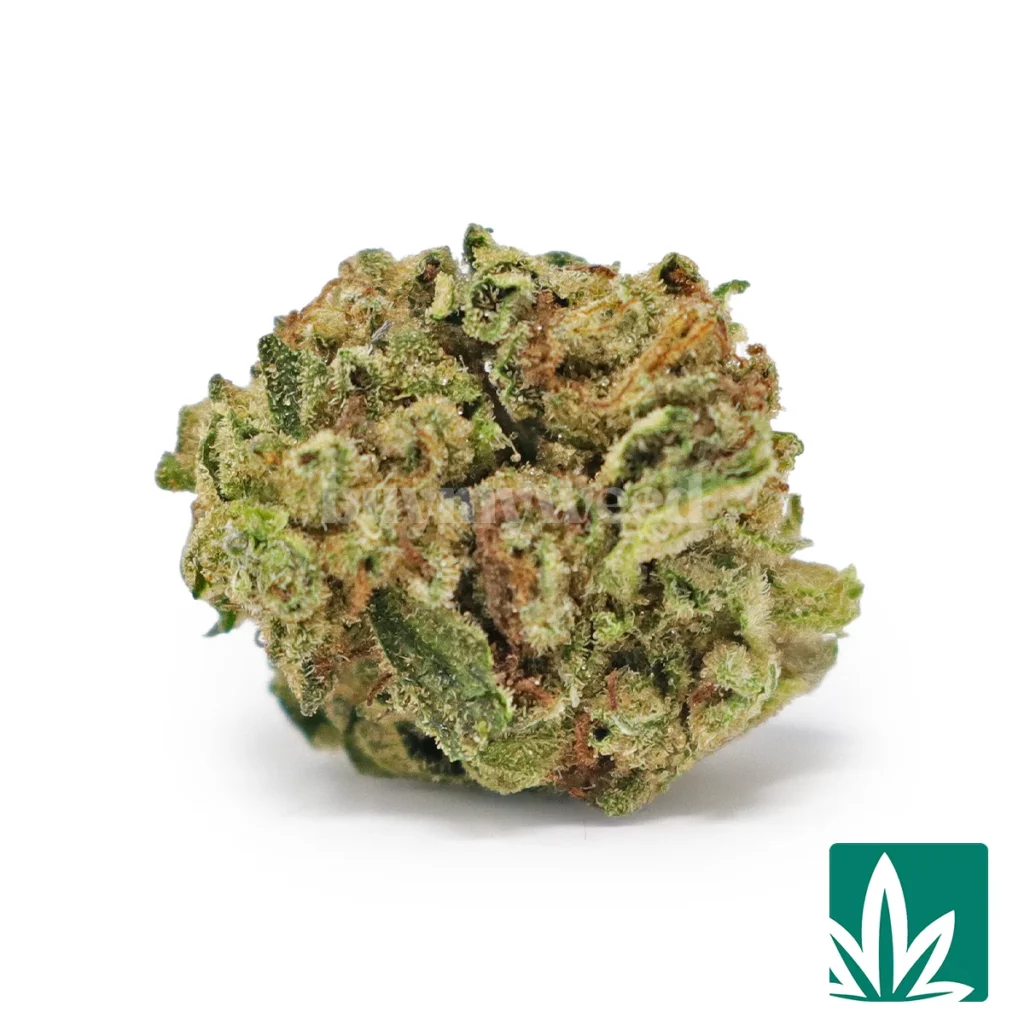 blueberry punch strain blueberry punch strain