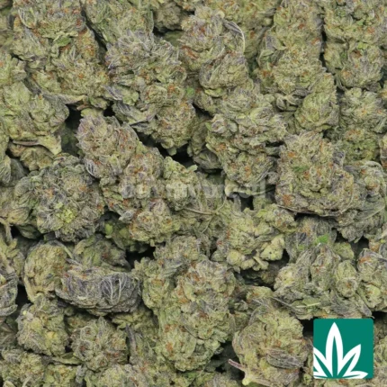 cookies n cream strain​
