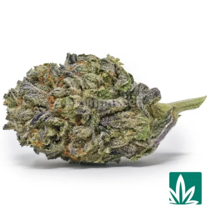 cookies n cream strain​