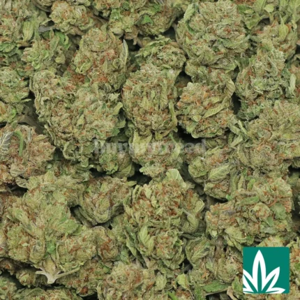 fire og strain​