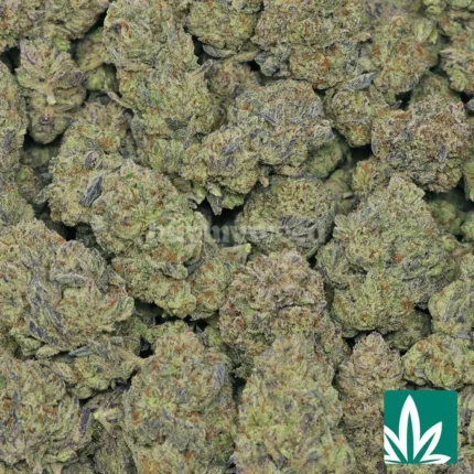 cookie frost strain​