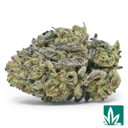 cookie frost strain​