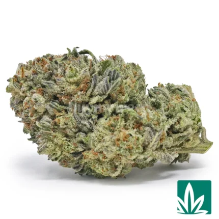 gelato king strain​