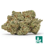 Gorilla Glue 4
