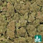Headband - Image 2