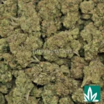 Lemon Cherry Gelato - Image 2