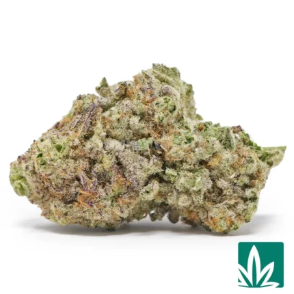 miracle alien cookies strain​