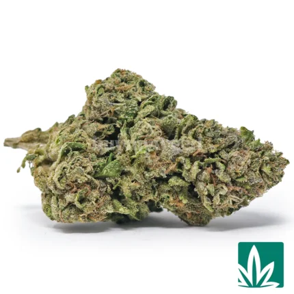 lemon cherry strain​