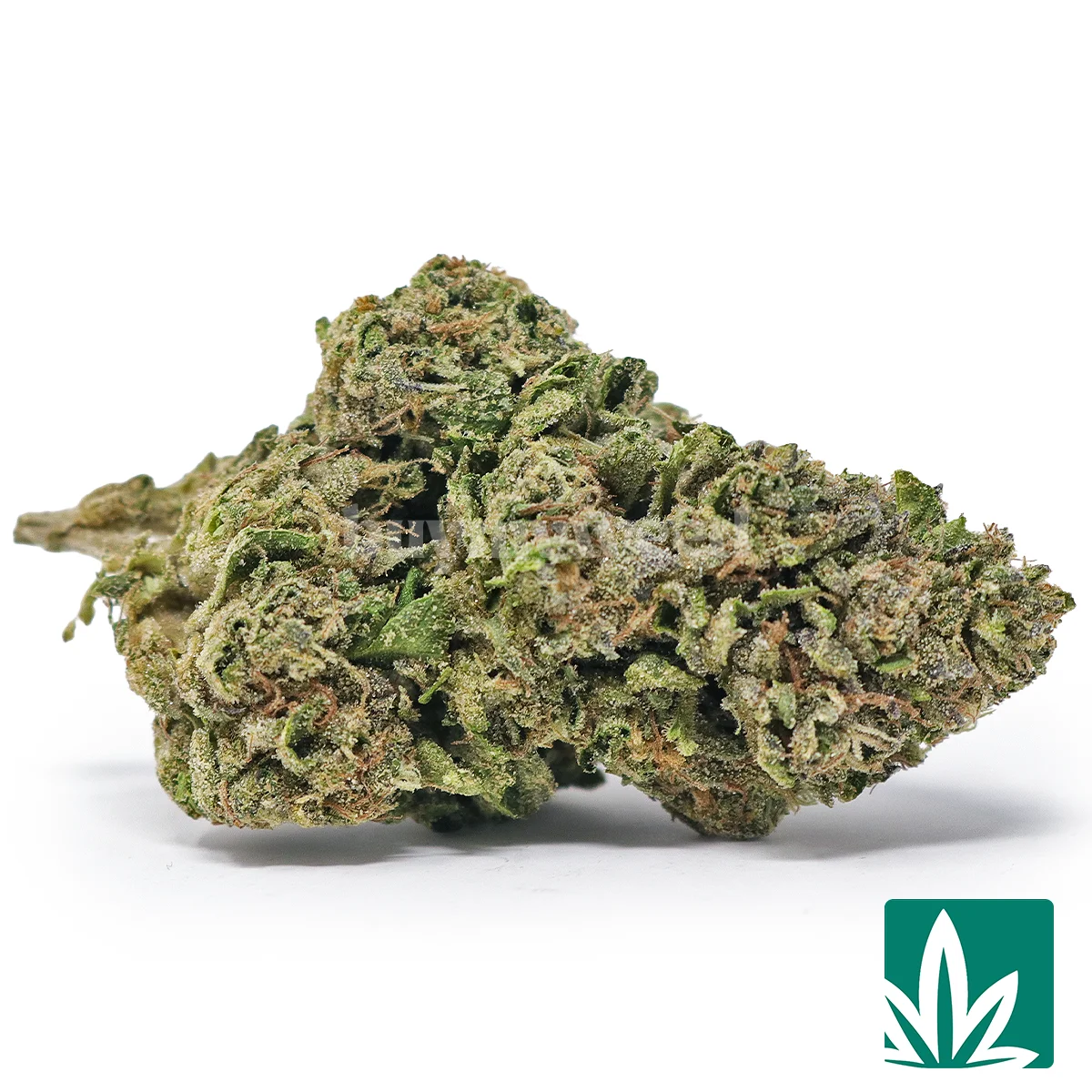 lemon cherry strain lemon cherry strain
