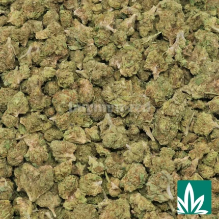 wedding crasher strain​