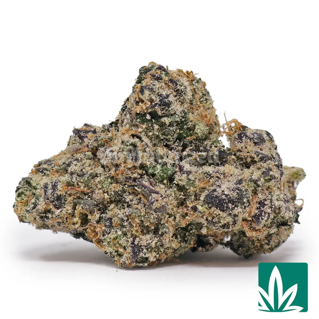 white cherry strain white cherry strain
