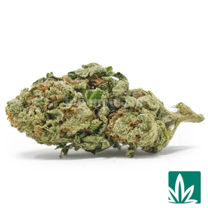 black runtz price​