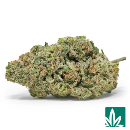 blueberry haze strain