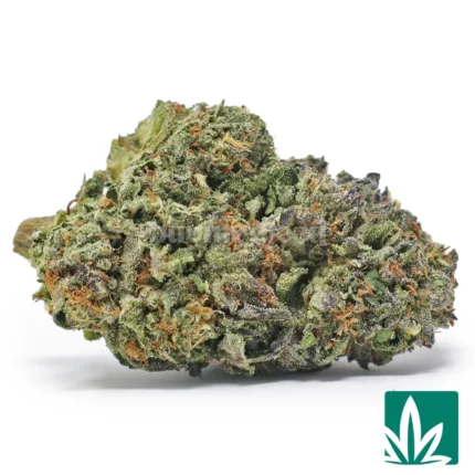 blue cookies strain