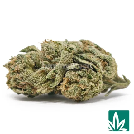 cherry fritter strain​