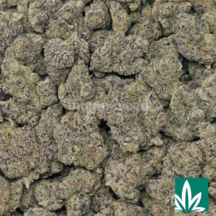 galactic runtz strain