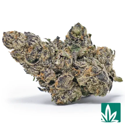 galactic runtz strain