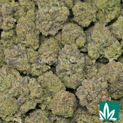 garlic cookies strain​