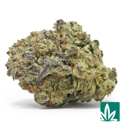 garlic cookies strain​