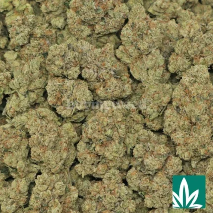 headband og