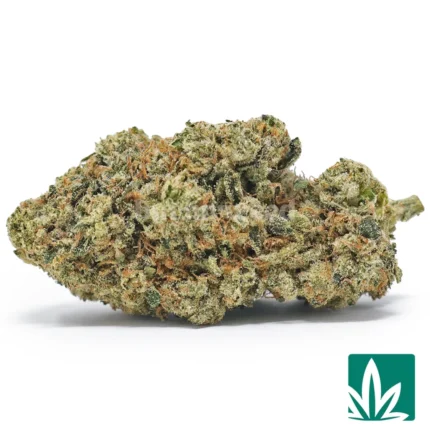 headband og
