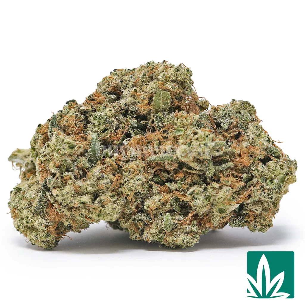 killerog2-1024x1024 Killer OG - Image 1