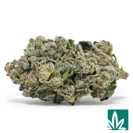 kush mintz