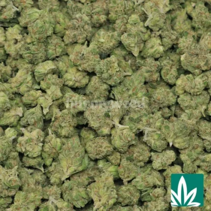 legend og strain