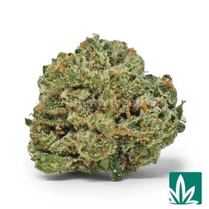 legend og strain