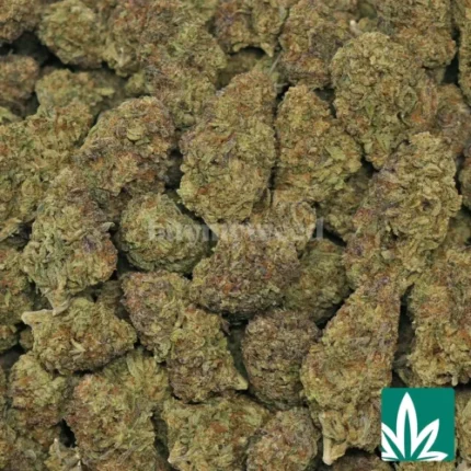 lemon og haze strain​