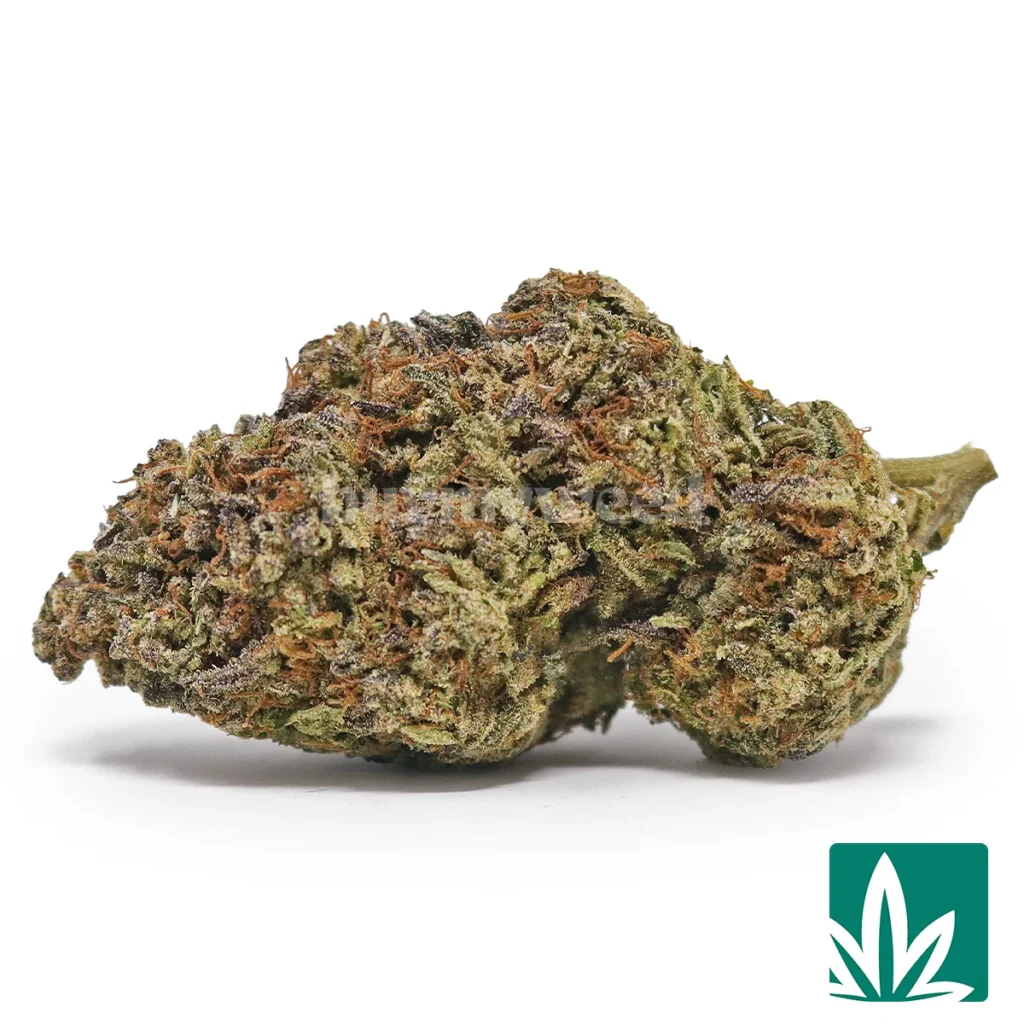 lemon og haze strain lemon og haze strain