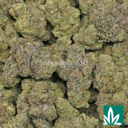 lemonhead strain