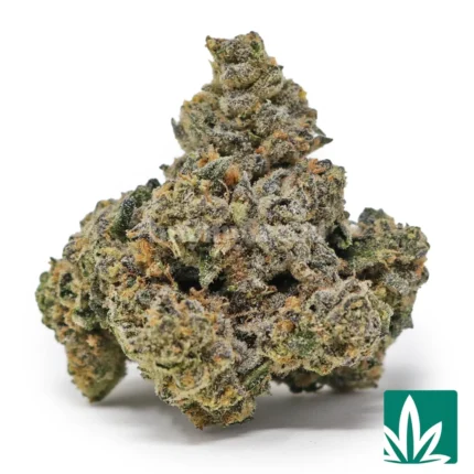 lemonhead strain