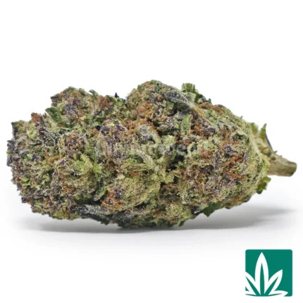 midnight runtz strain