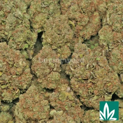 mochi strain​