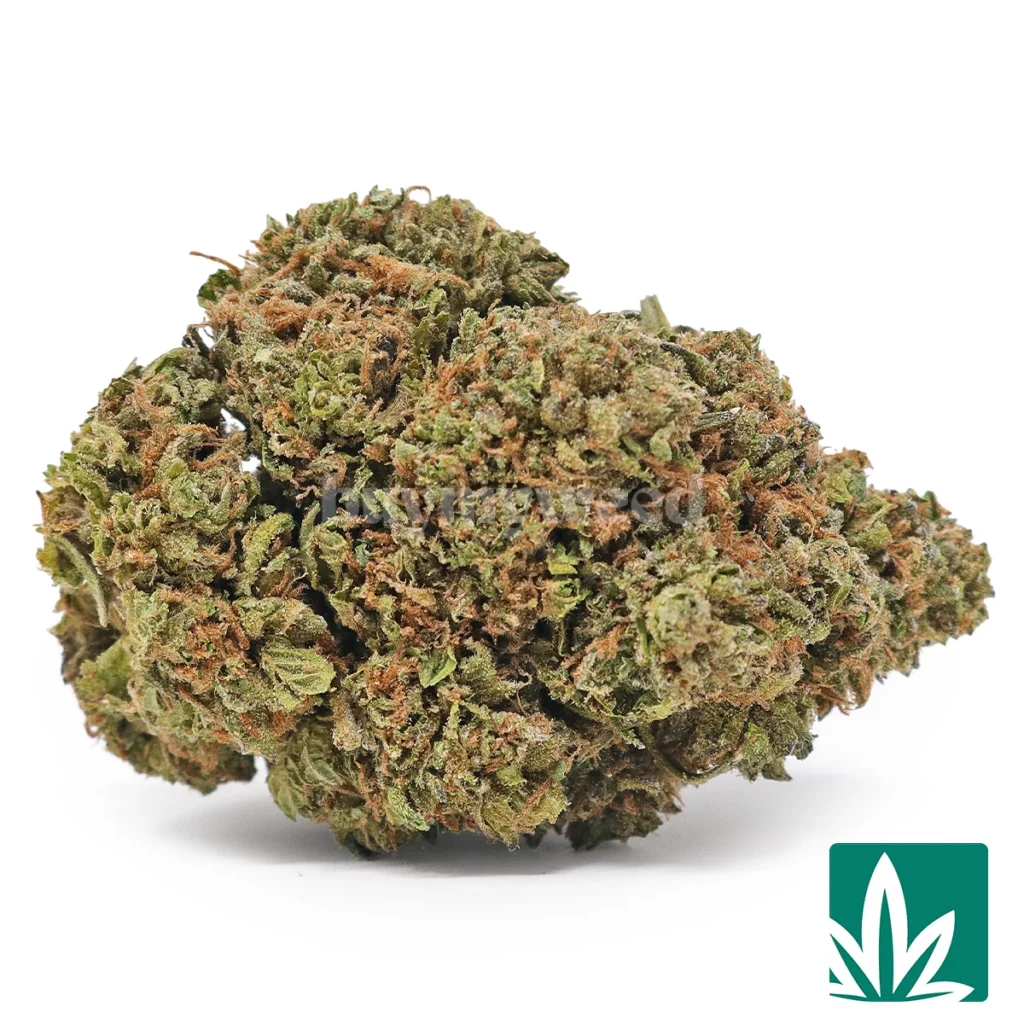 mochi strain mochi strain