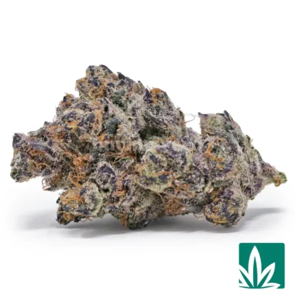 tropicana cookies strain
