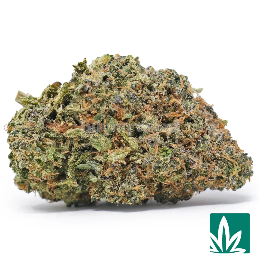 chemdawg2-1024x1024 Chemdawg - Image 1